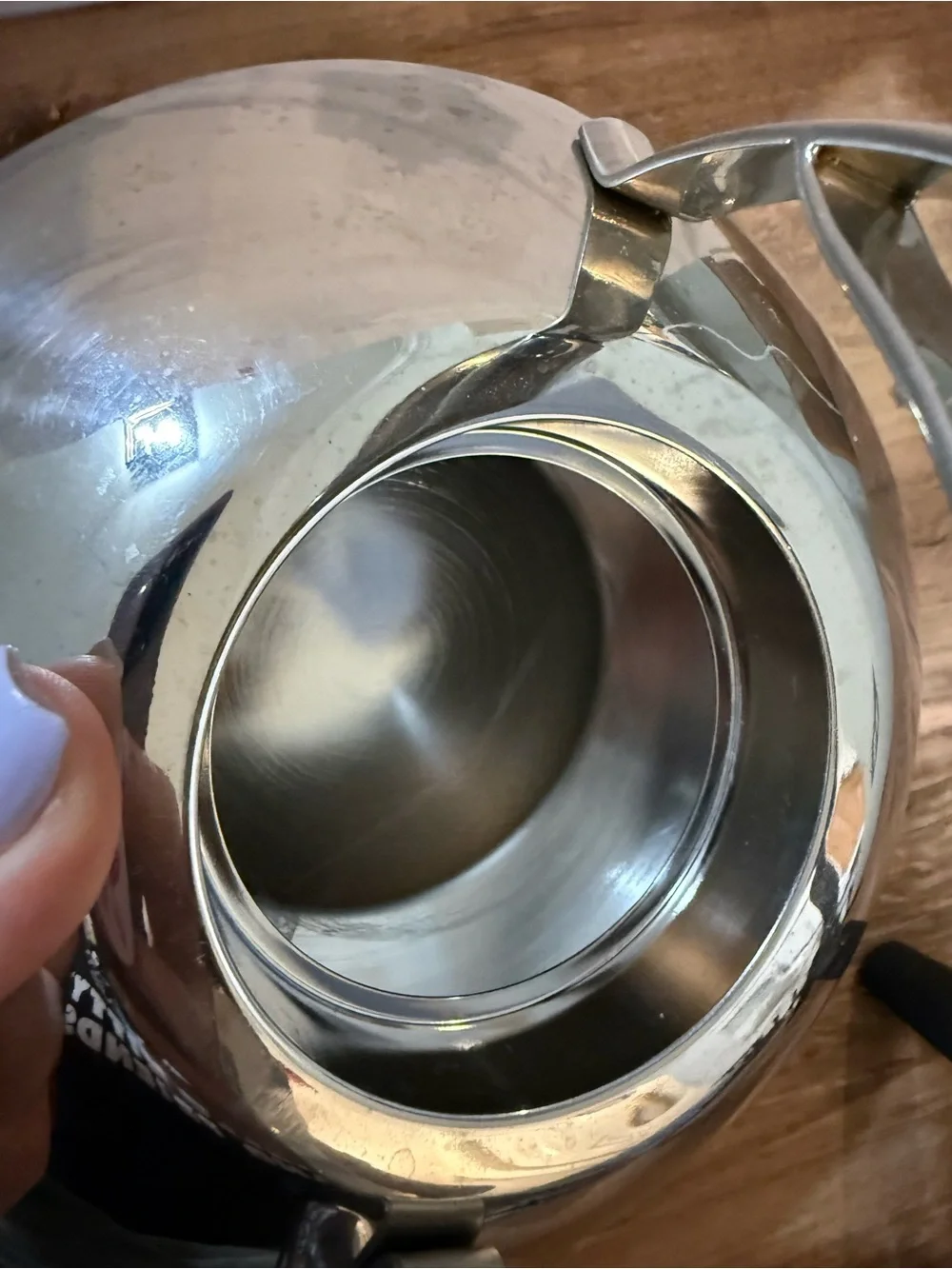 Il Mulino New York 18/10 Stainless Steel Stovetop Tea Kettle Induction